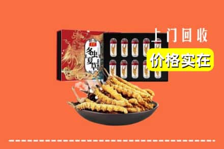 麻栗坡县回收冬虫夏草