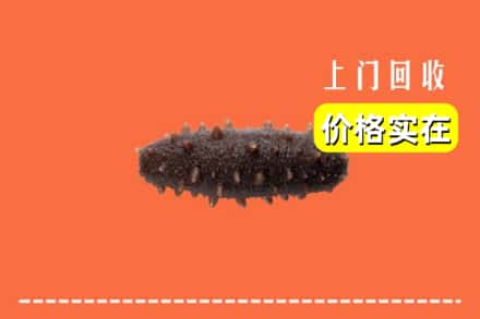 麻栗坡县回收海参