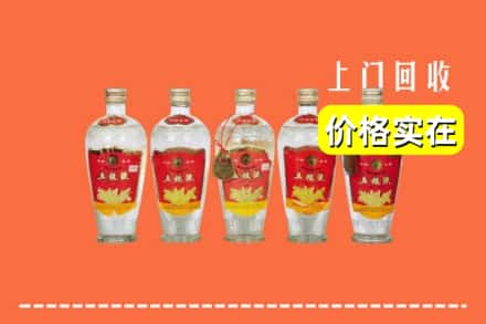 麻栗坡县回收老五粮液